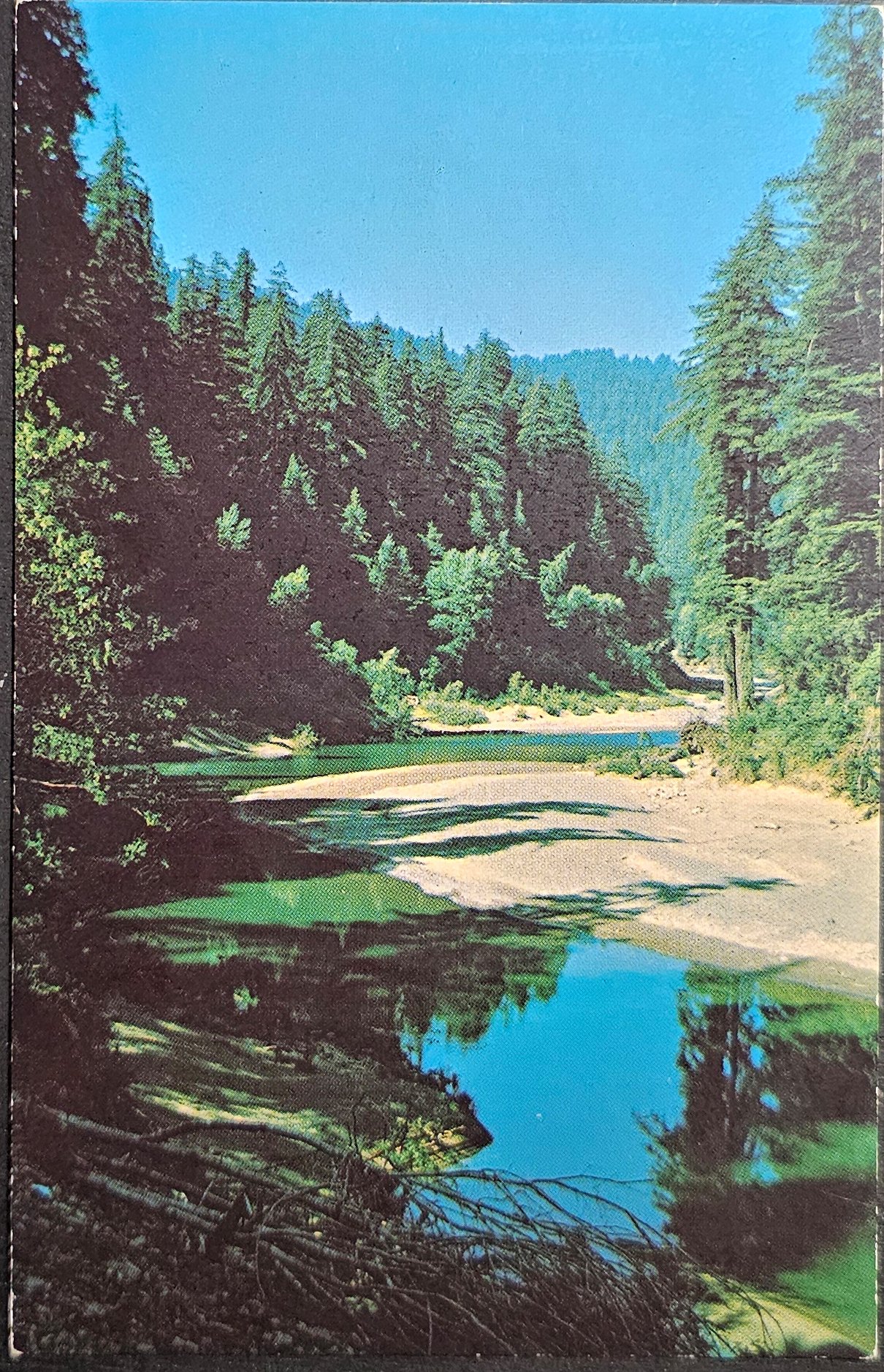 (image for) postcard USA - CA - California #0159